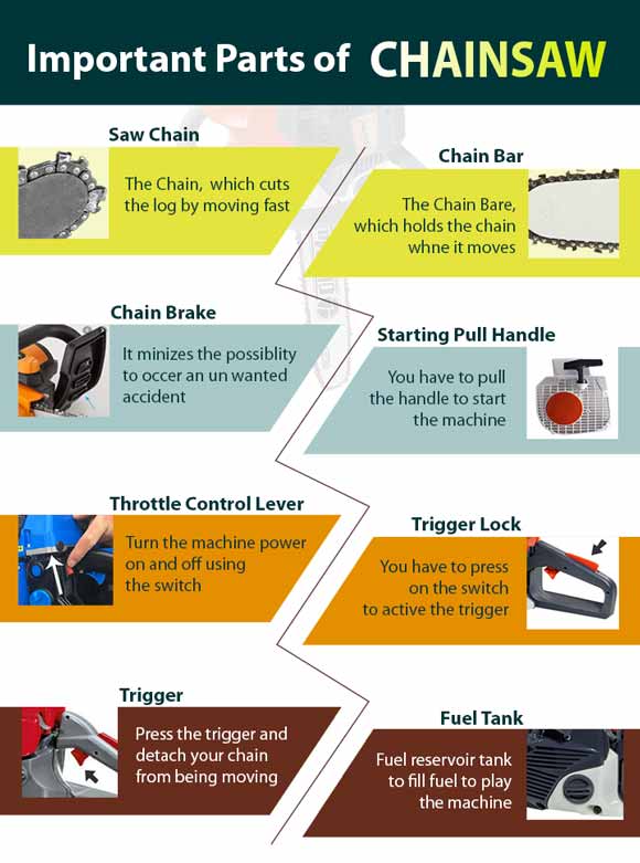 Important Parts of Chainsaw
