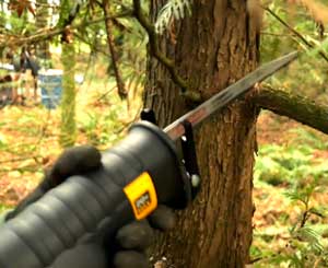 Tree Pruning with Reciprocating Saw