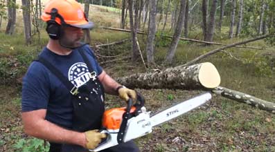 Best Stihl Chainsaw Review